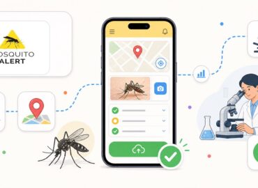 mosquito-alert-aiutiamo-gli-scienziati